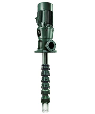 Bơm trục đứng hướng trục p6p-p8p-caprari