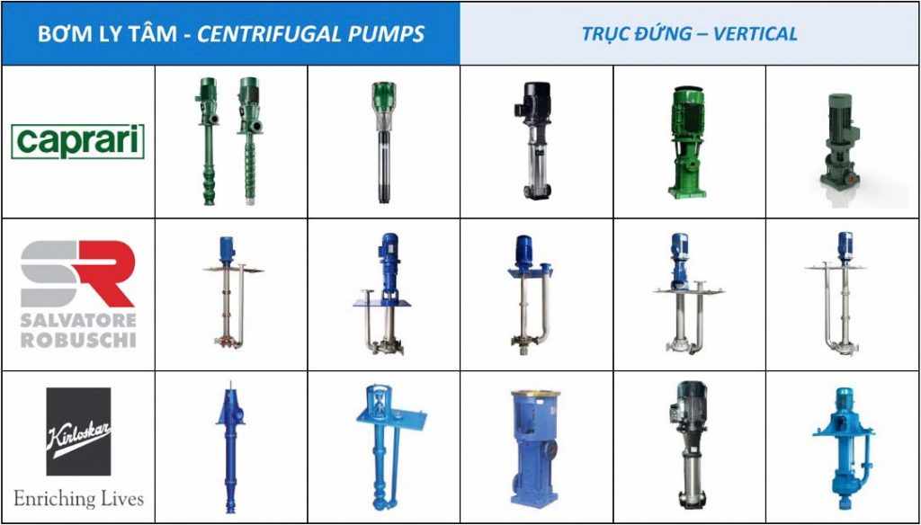 Thái Khương Pumps