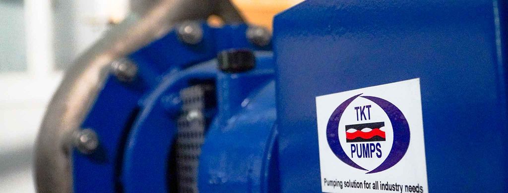 Thái Khương Pumps