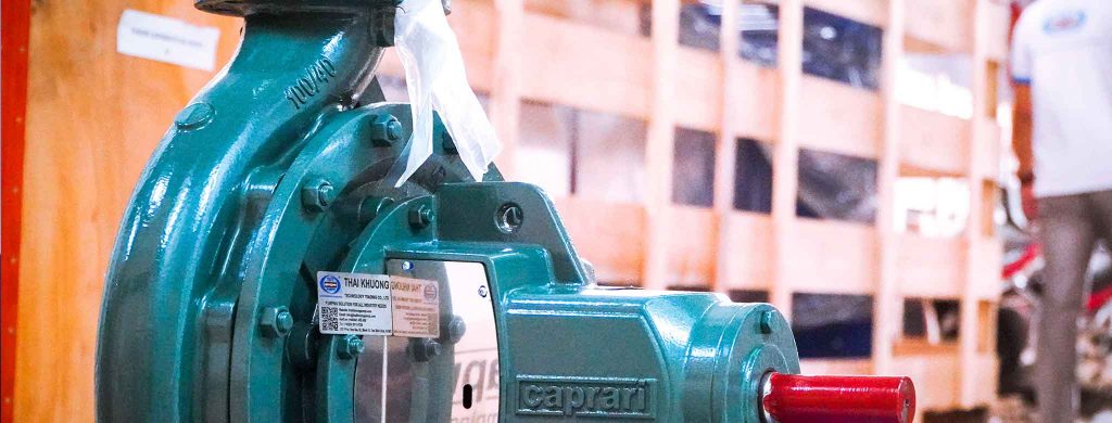 Thái Khương Pumps