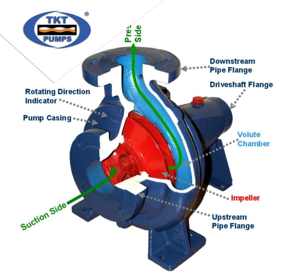 Thái Khương Pumps