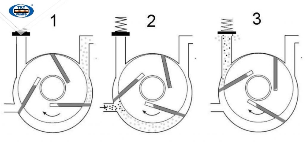 Thái Khương Pumps