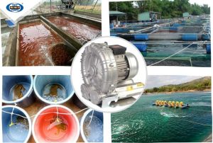 Máy thổi khí công suất nhỏ