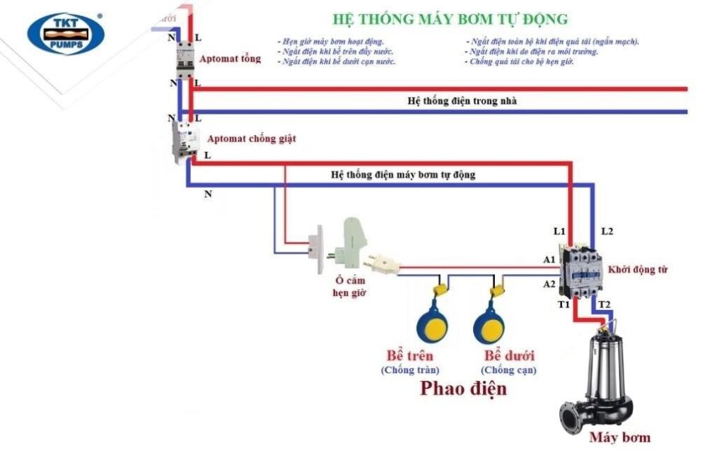 Thái Khương Pumps