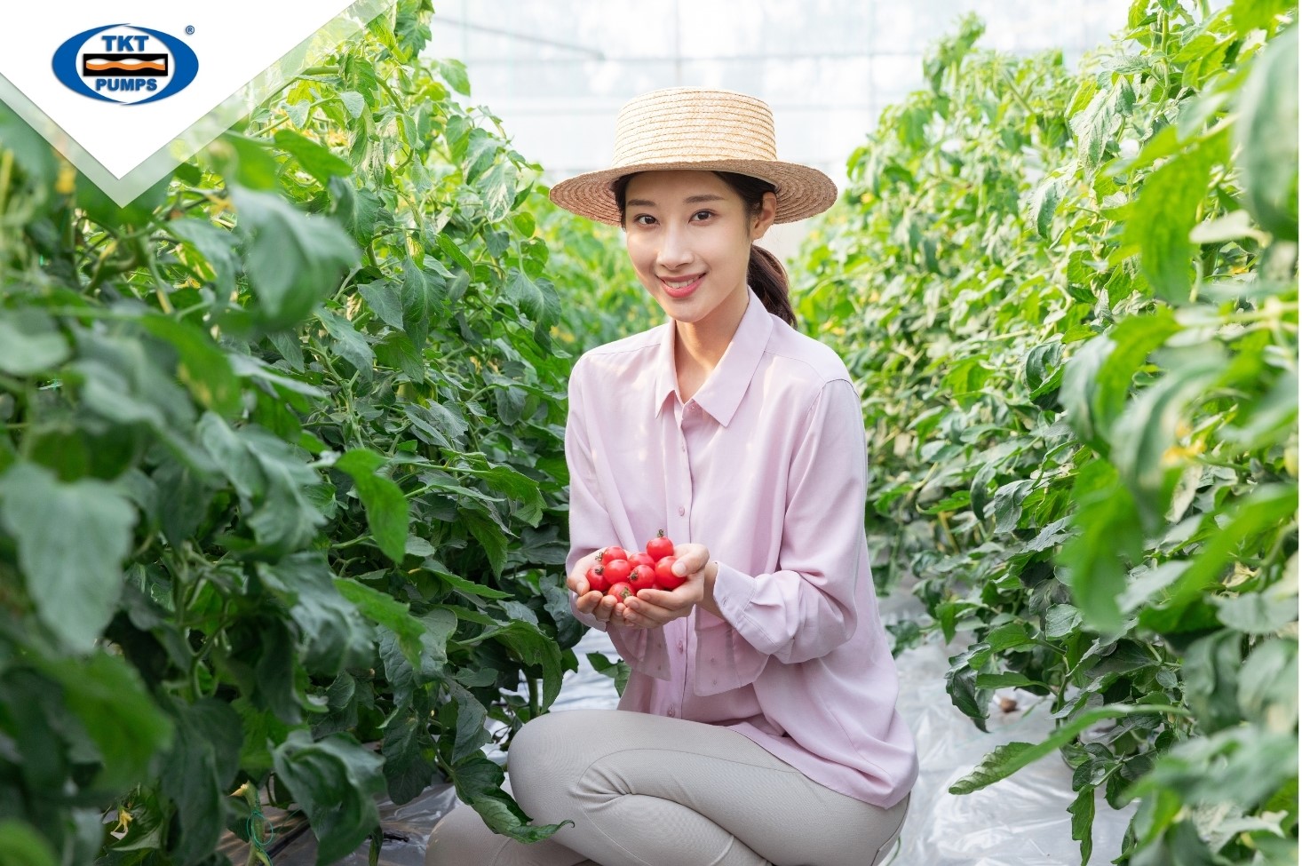 Nông nghiệp là ngành quan trọng