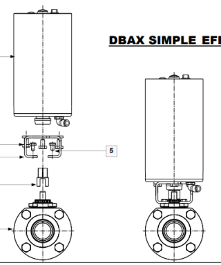 DBX DBAX ball valve - Definox 5 Body configuration via photo of DBX DBAX ball valve