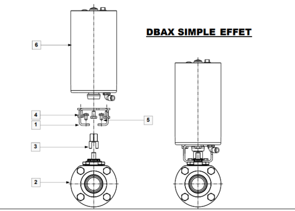 Body configuration via photo of DBX DBAX ball valve