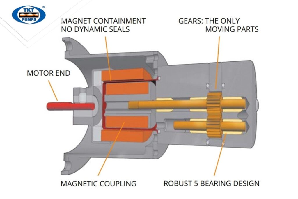 Thái Khương Pumps