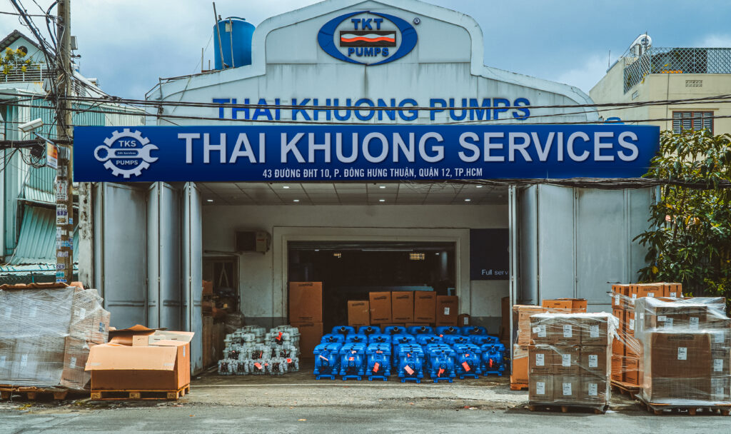 Thái Khương Pumps