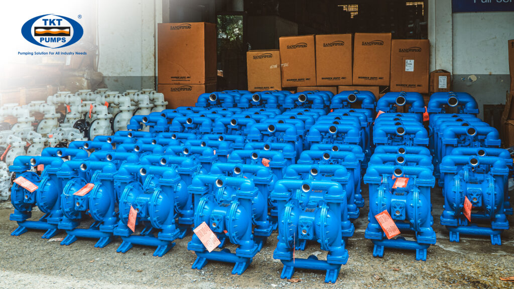 Thái Khương Pumps