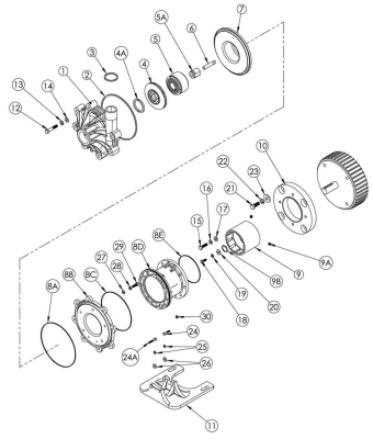 Mô phỏng mặt cắt buồng bơm ly tâm dẫn động từ FTI DB11