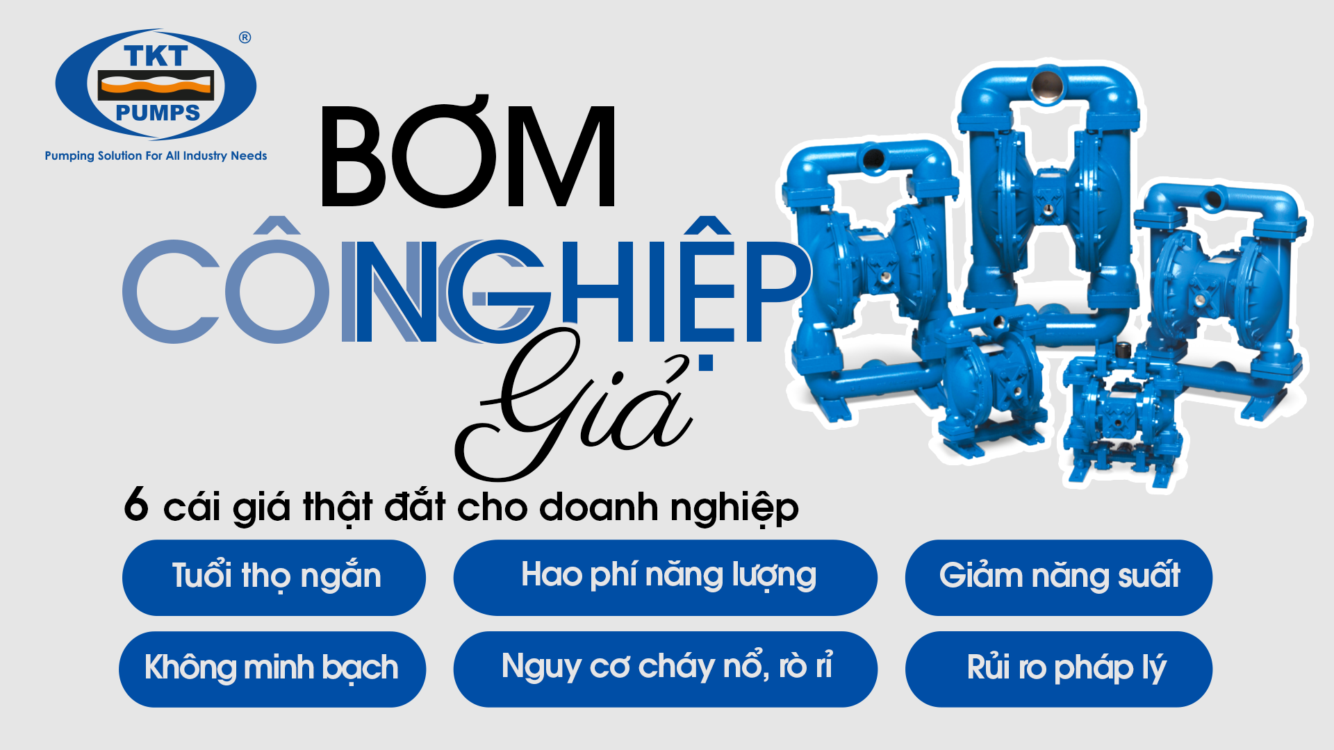 Hàng Giả Bơm Công Nghiệp: Cảnh Báo Khẩn Cấp & Hướng Đi Tới Thị Trường Lành Mạnh 1 Bơm màng khí nén Sandpiper bị làm giả