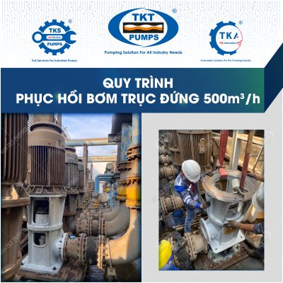 Phục hồi bơm trục đứng 1