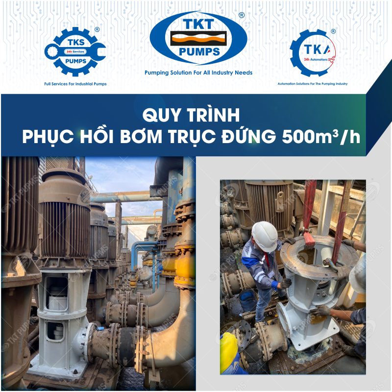 Phục hồi bơm trục đứng 1