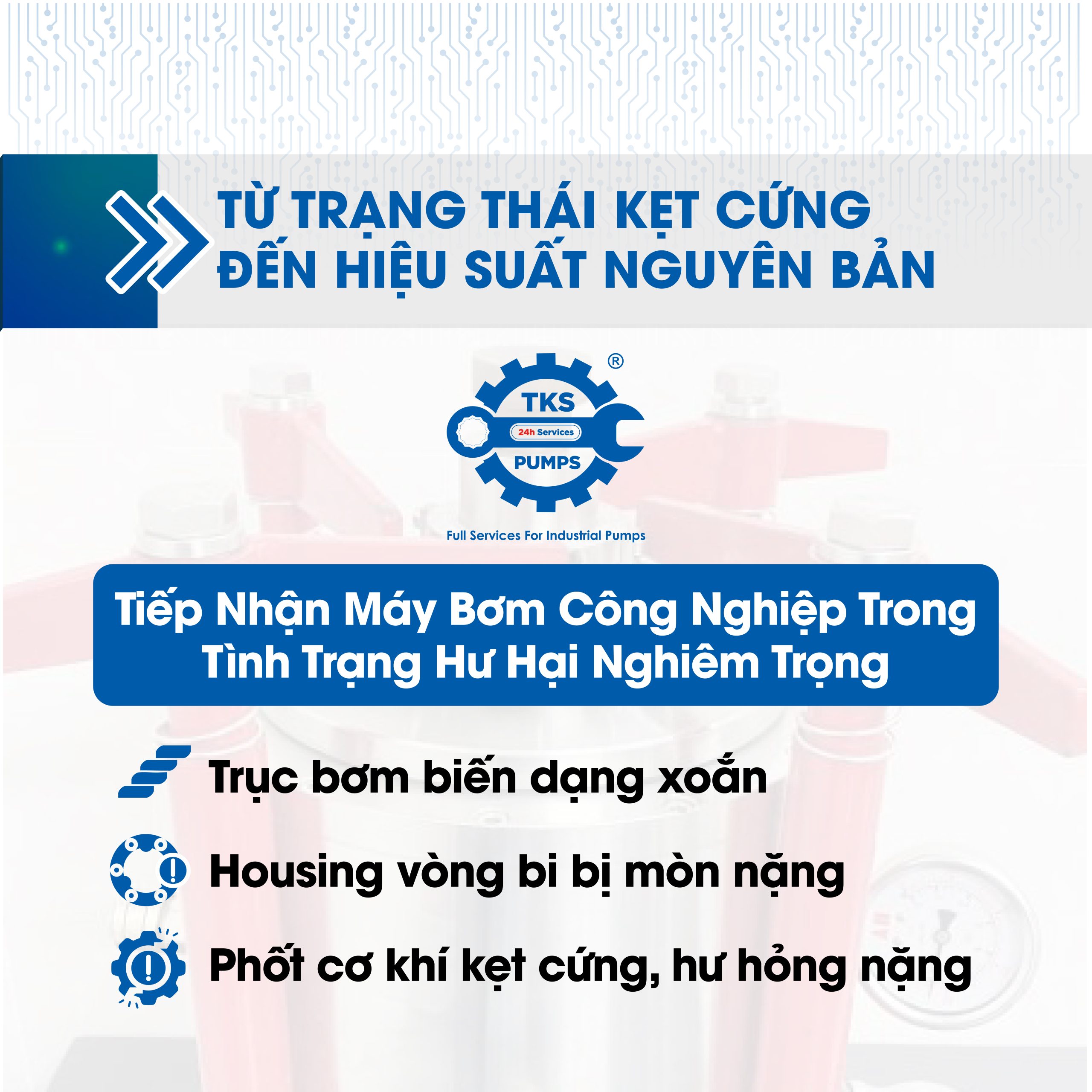 Quy trình Phục hồi Bơm Trục Đứng 