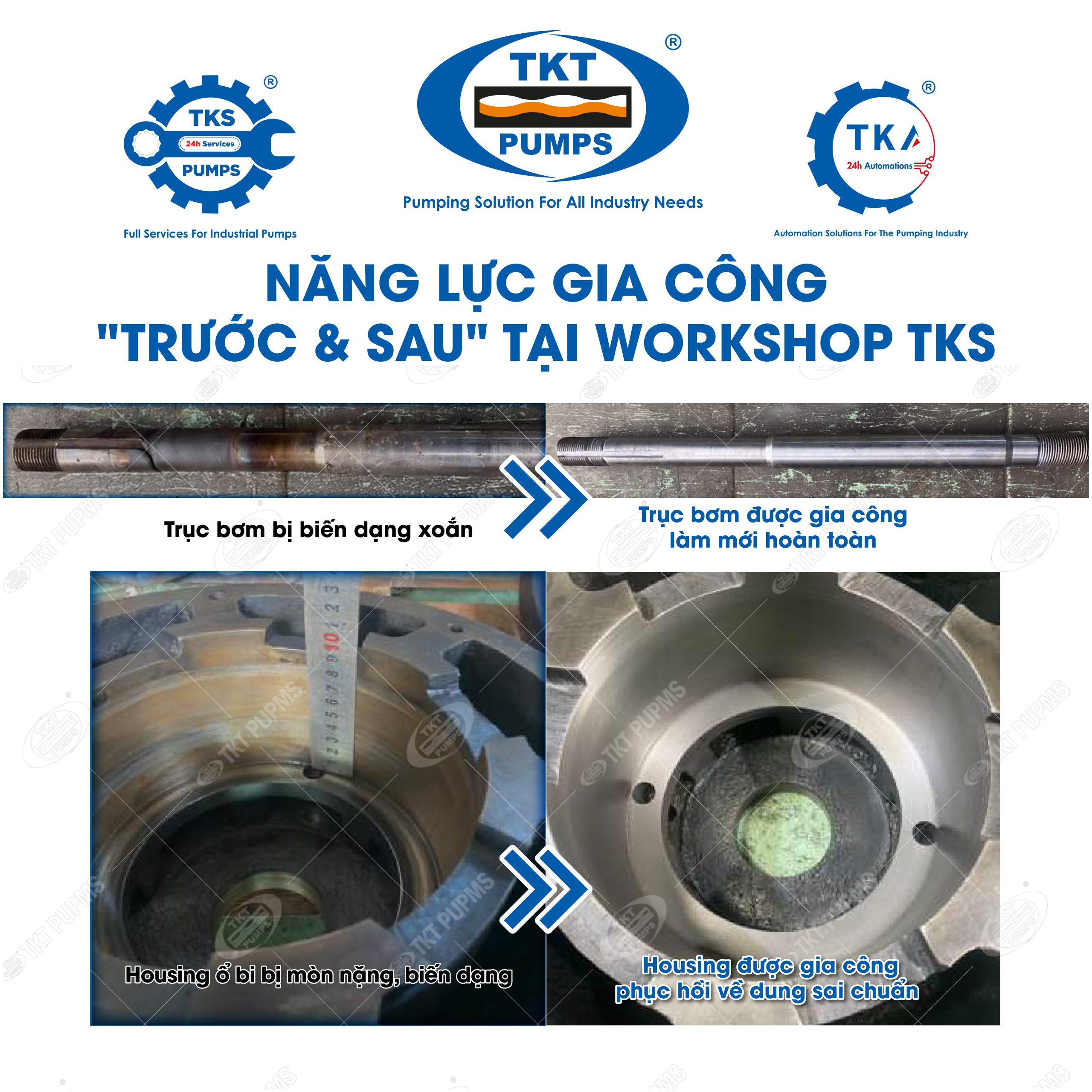 Quy trình Phục hồi Bơm Trục Đứng 3