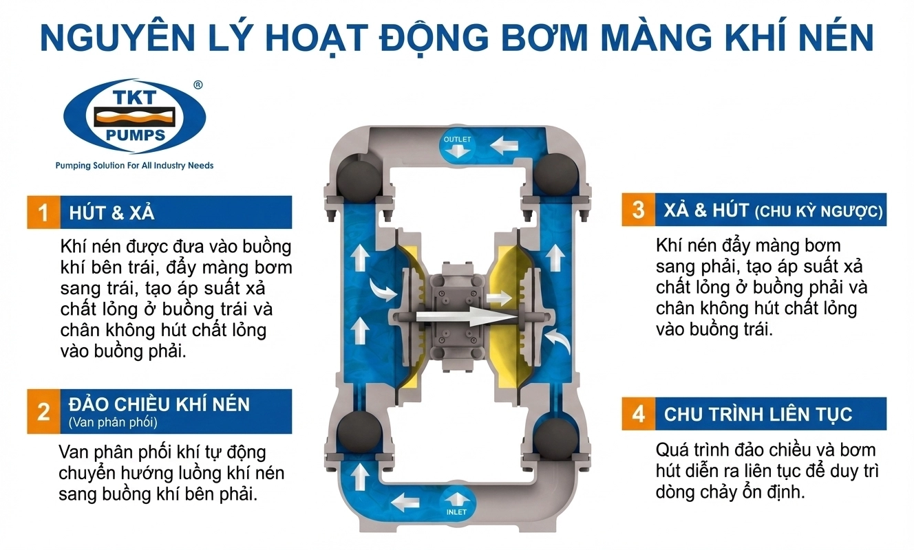 Mô phỏng nguyên lý hoạt động bơm màng khí nén ESADS+Plus Sandpiper