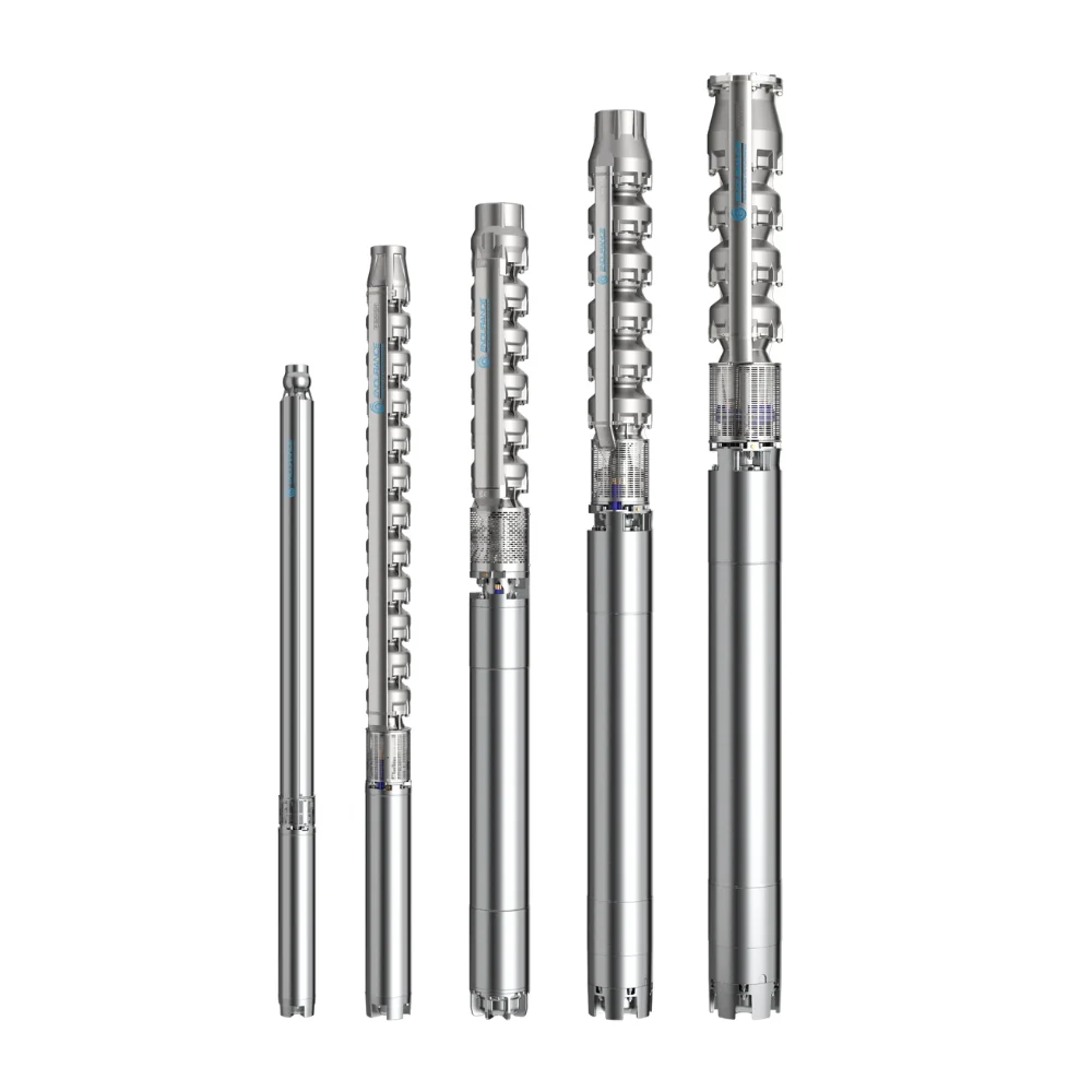 Máy bơm chìm giếng khoan ESX-ERX - Caprari 1 Bơm chìm hỏa tiễn inox Caprari Endurance (ESX/ERX)