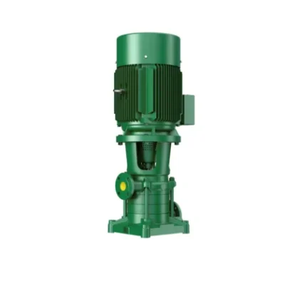 Bơm trục đứng đa tầng Caprari HV cho tăng áp và cấp nước cao tầng