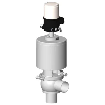 Van điều chỉnh vi sinh Definox DCX3 REGUL với bộ định vị 4-20mA, thân inox 316L