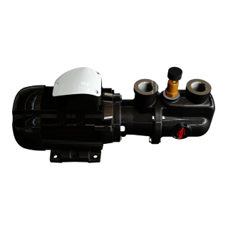 Bơm trục vít dạng xoắn R Series Wobble Pumps – Nova Rotors