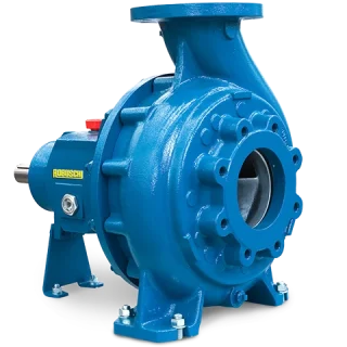 Bơm ly tâm slurry Robuschi PROMIX