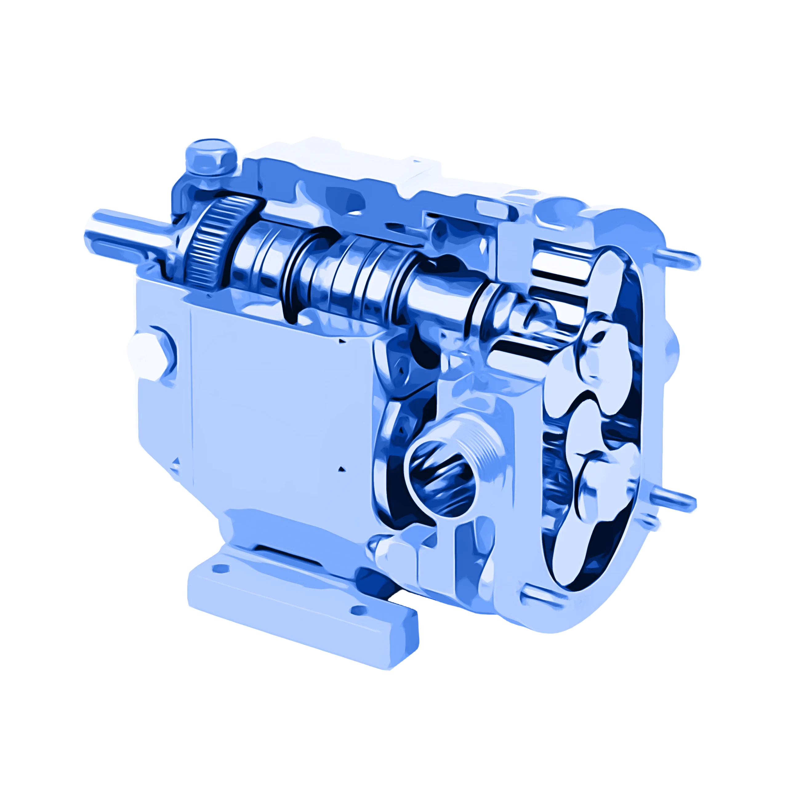 Lobe Pump